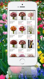 buy flowers iphone images 2