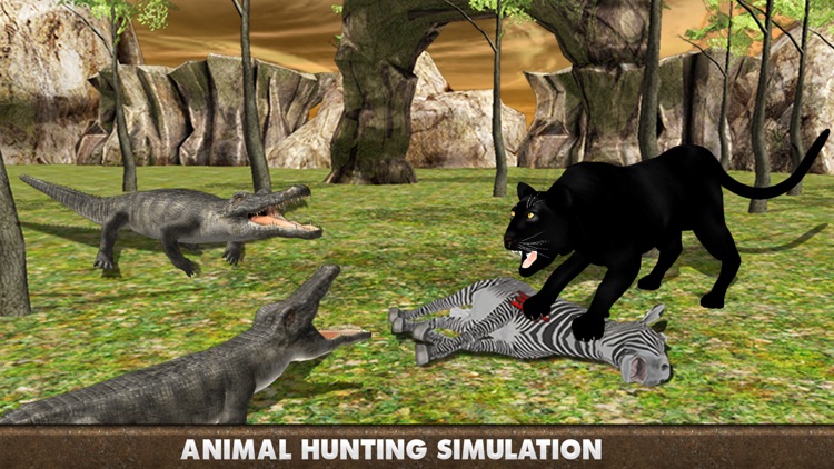 black panther animal hunting
