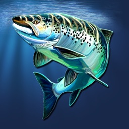 Elatikl Matching Game