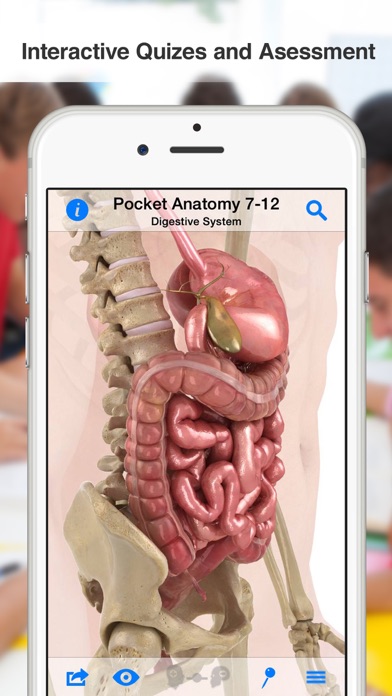 High School Anatomyのおすすめ画像5