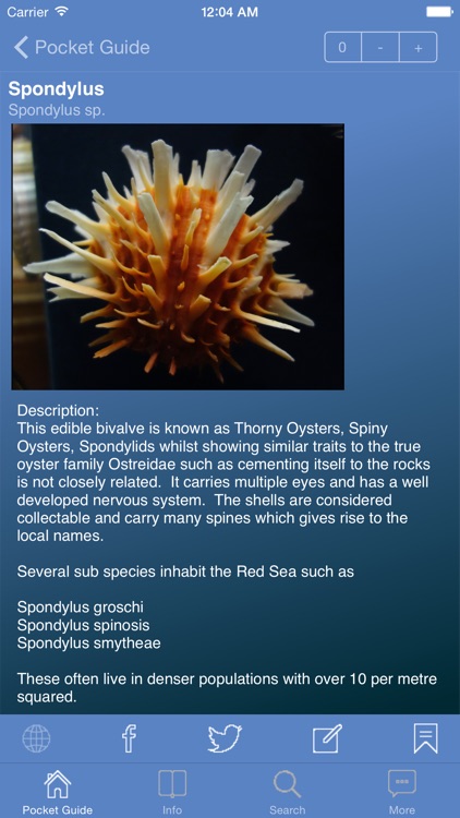 Pocket Guide Red Sea