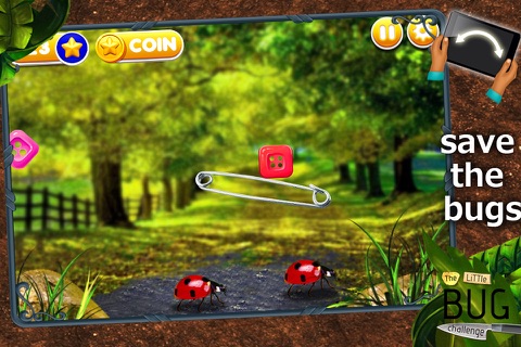 The Little Bug Challenge screenshot 4