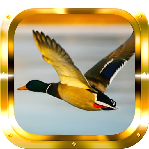 Duck Hunting Shooter Reloaded iOS App