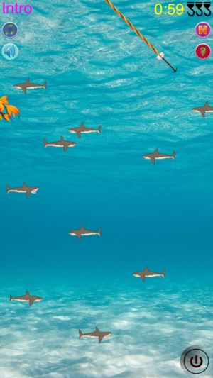 Shark Harcher(圖5)-速報App