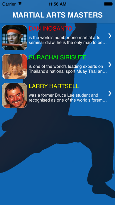 Screenshot #3 pour Martial Arts Masters