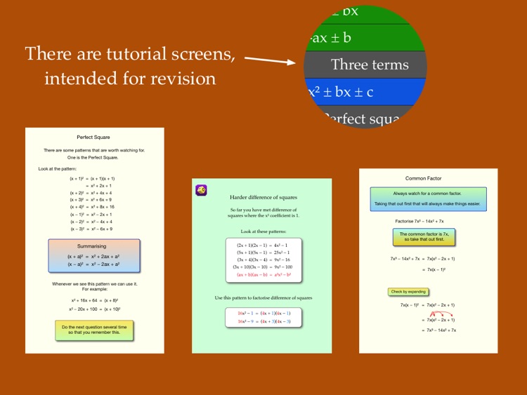 Factorise - algebra polynomials screenshot-0