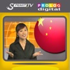 中国語 - Speakit.tv (Video Course) (5X006ol)