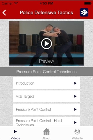 Police Defensive Tactics screenshot 3