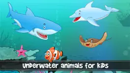 Game screenshot Peekaboo animals in the sea, ocean, lake and river for toddlers and babies mod apk