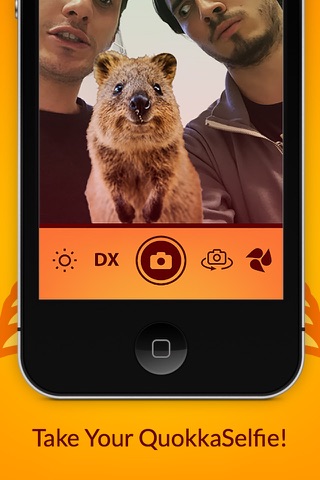 QuokkaSelfie: take photos with the happiest animal in the world! screenshot 3