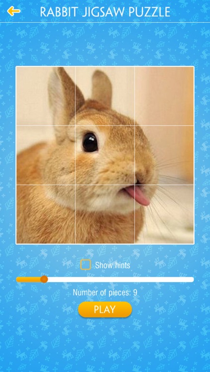 Rabbit Jigsaw Puzzles screenshot-4