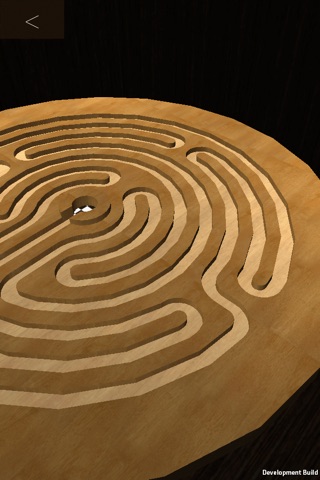 Maze Hole pro screenshot 3