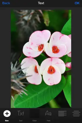 Game screenshot Photo Amp mod apk