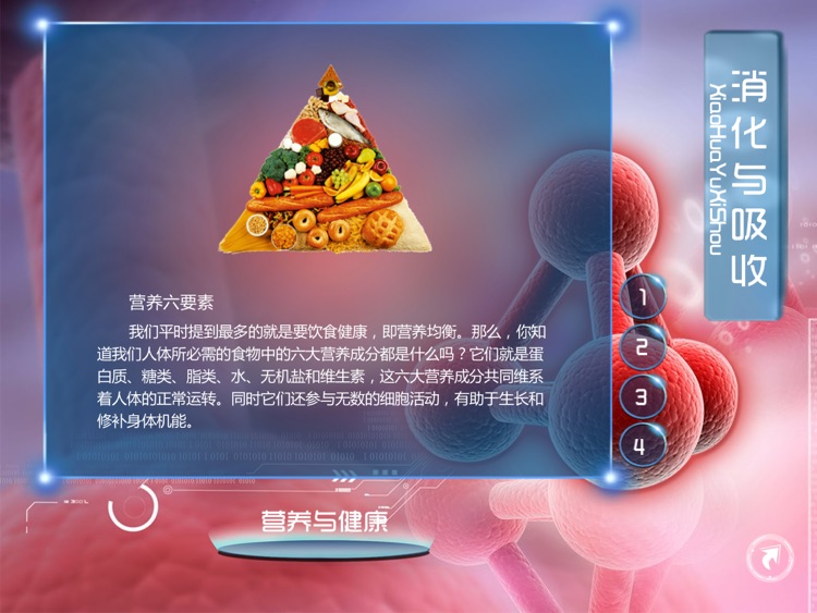 Human Body Encyclopedia