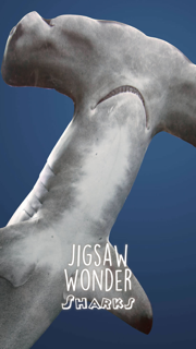 Shark Puzzles for Kids Free Jigsaw Wonder Collection screenshot 2