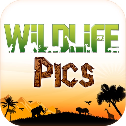 Wild Life Pics icon