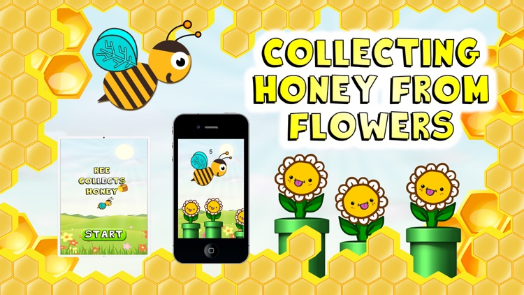 Bee Collects Honey screenshot-3