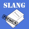 Slang Dictionary - PRO Version - A Dictionary of Modern Slang, Cant, Vulgar and Urban Words
