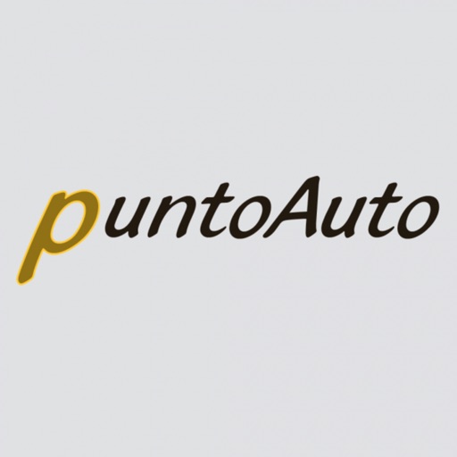 Punto Auto