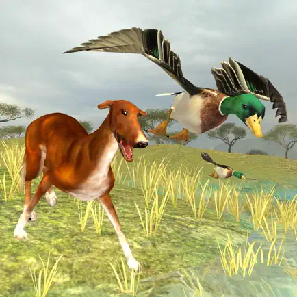 Bird Dog Chase Simulator Читы