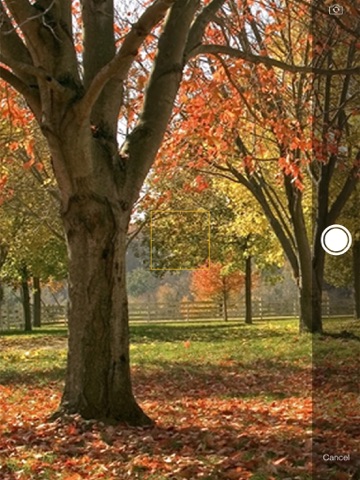 Screenshot #6 pour LifeforceApp