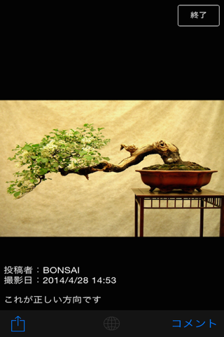 The BONSAI World【みんなの盆栽】 screenshot 3