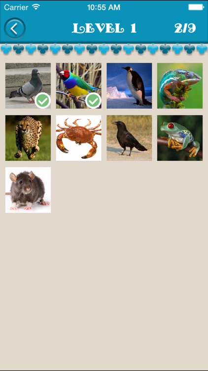 Animal Name Quiz - Guess The Animal