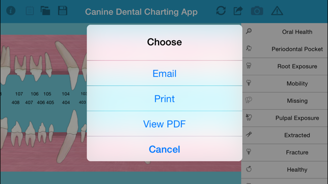 Dental Charting App