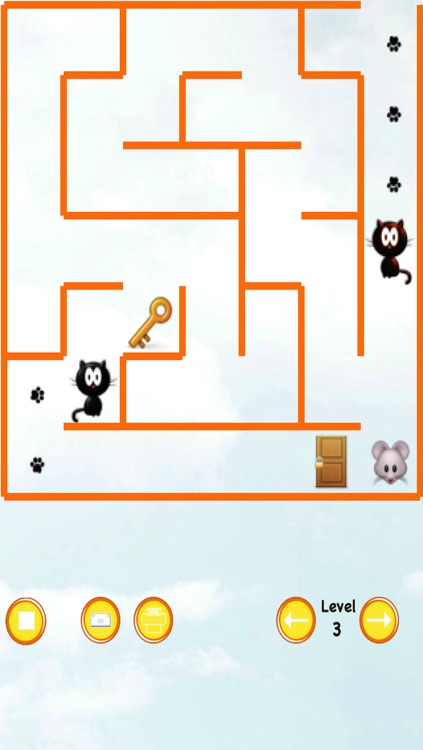Cat Maze Race