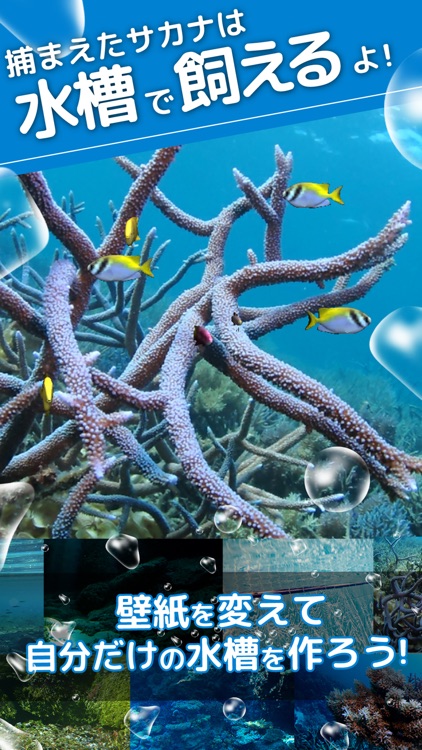 サカナタッチ - 魚をあつめて水族館のような水槽をつくろう