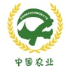 中国农业(Agriculture)