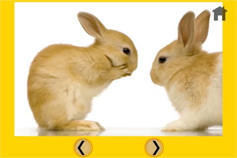 gentile rabbits for kids - no ads screenshot 4