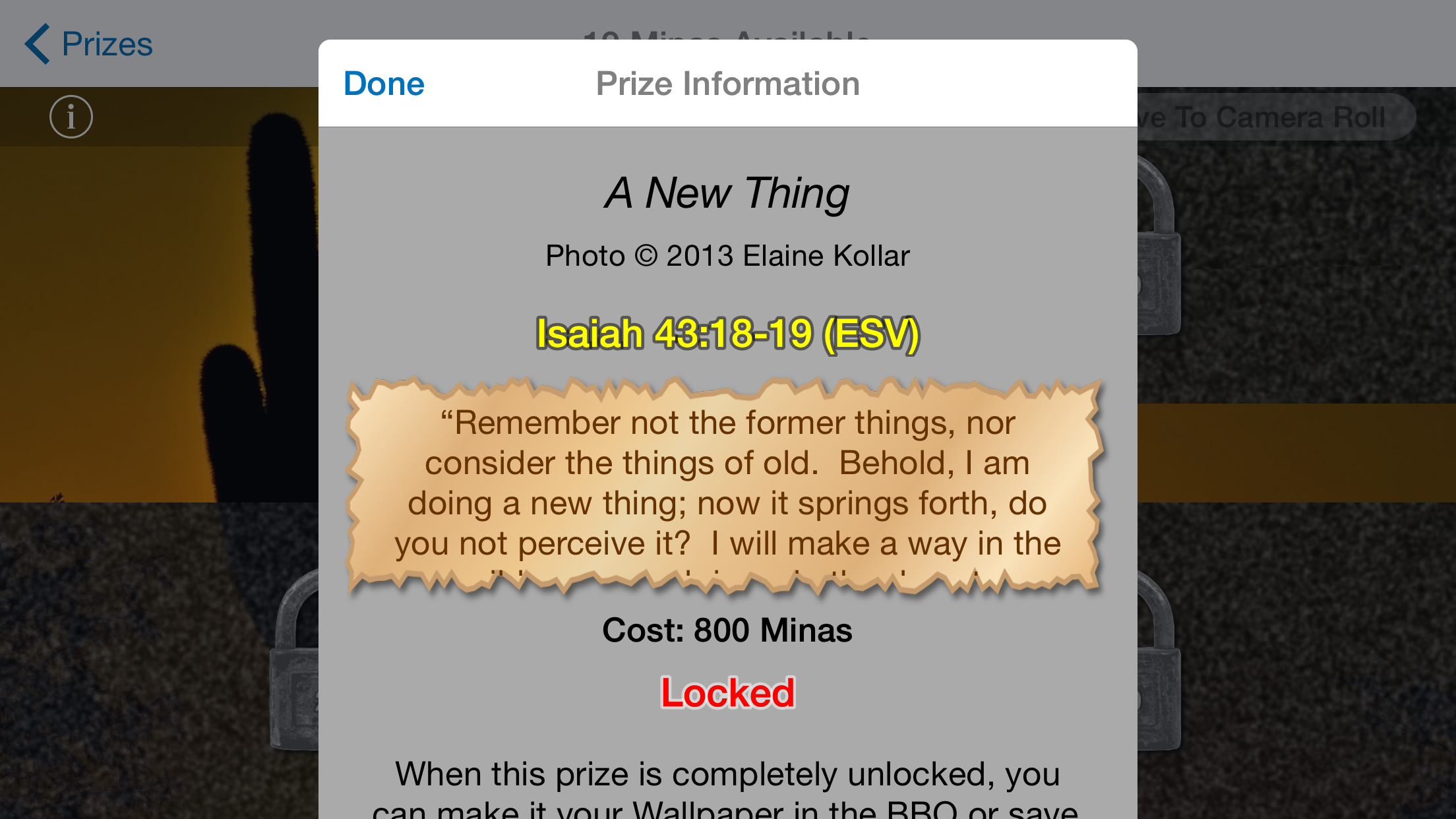 Bible Book Quiz - Christian Bible Game & Study Aid