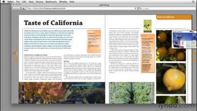 Easy To Use - Adobe InDesign Edition Screenshot