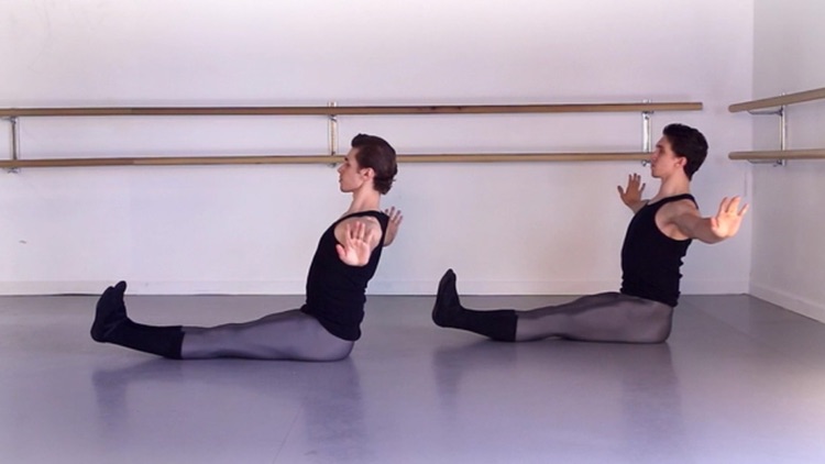Ballet Elasticity