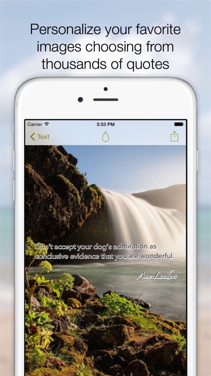 English Spanish Quotes