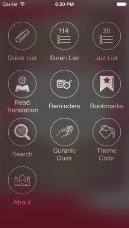Game screenshot Holy Quran With Russian Audio Translation apk