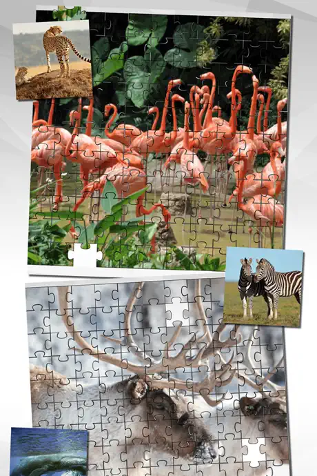 Animal Puzzle Game HD