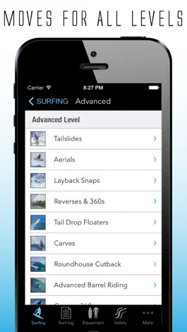 Game screenshot iSurfer - Surfing Coach apk