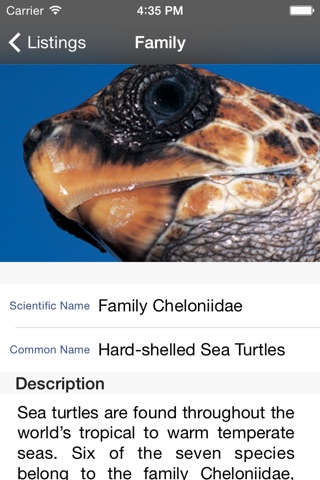 Reptiles Guide screenshot 4