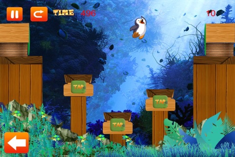 Penguin Plunge - Happy Water Maze Quest Paid screenshot 3