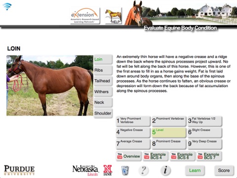 Screenshot #6 pour HorseBCS