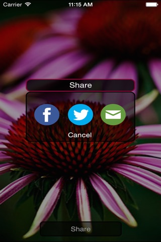FLOWR - A Gift App screenshot 4