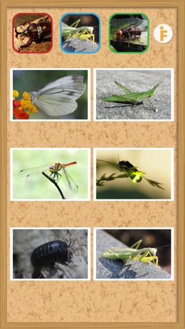 とびだす昆虫園-ムシ図鑑のおすすめ画像2
