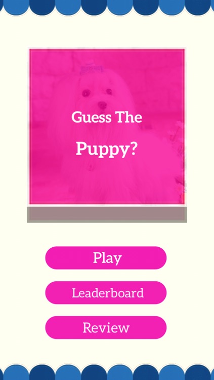 Guess Puppy: Reveal Your Favourite Puppies Breed screenshot-3