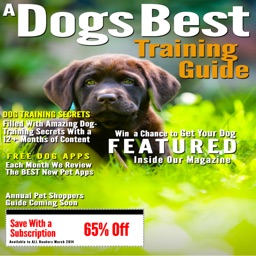 A Dogs Best Training Guide