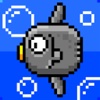 Annoying mola mola