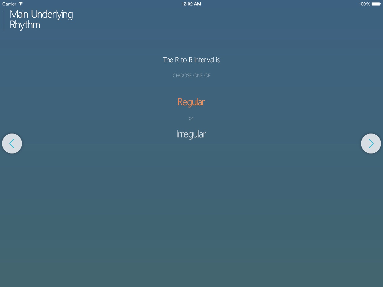 iPad screenshot
