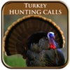 Turkey Hunting Calls Pro