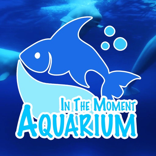 In The Moment Aquarium - Reduce stress, anxiety, depression and practice mindfulness. icon